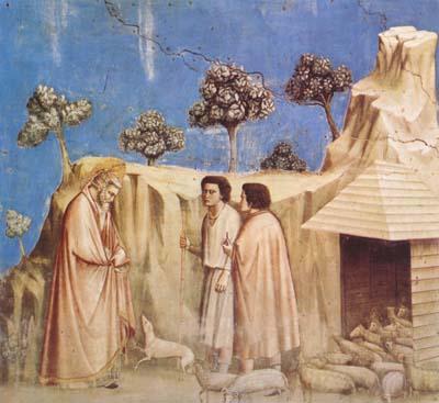 GIOTTO di Bondone Joachim Takes Refuge in the Wilderness (mk08) oil painting image